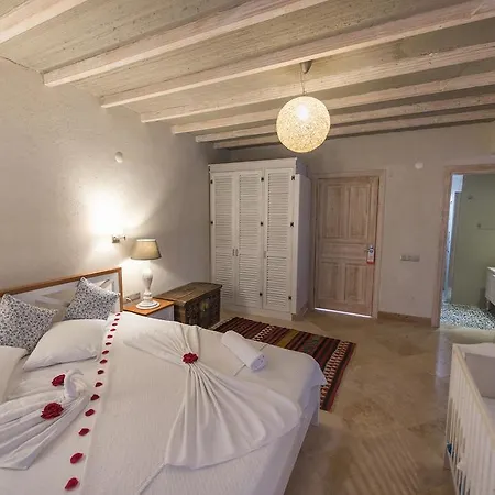 Kayakoy Hotel Ξενοδοχείο με διαμερίσματα